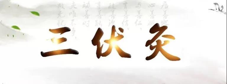 艾灸冬病夏治，春夏養(yǎng)陽(yáng)，三伏灸果真如此神奇？