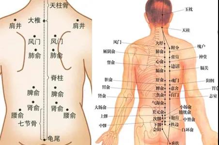 艾灸禁忌、艾灸注意事項