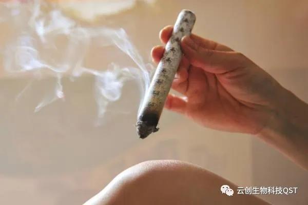 艾灸能同時調(diào)理好幾種婦科問題，簡單有奇效，現(xiàn)在開始灸還不晚！