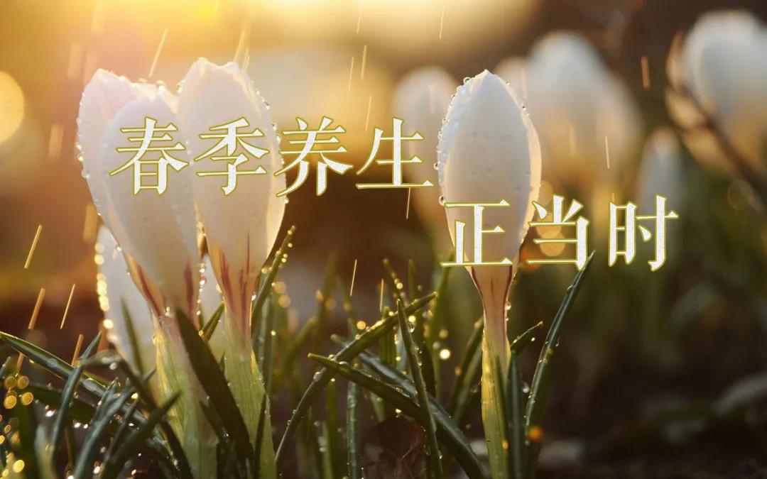 春天艾灸，陽(yáng)上增陽(yáng)，這些技巧別錯(cuò)過(guò)！
