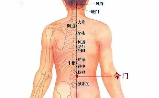 命門火衰影響人體生老病衰？命門穴有何神奇，竟決定生命的元陽盛衰？
