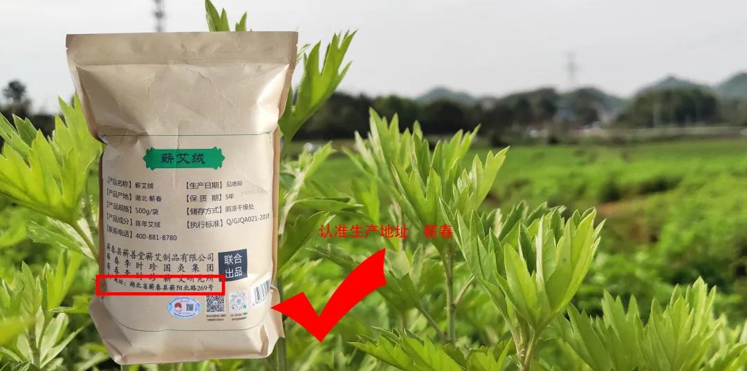 有“艾”相伴，補益陽氣行氣活血，淡淡艾香好助眠